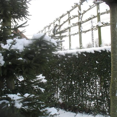 B&B Greenhouse 37 Langemark Exteriör bild