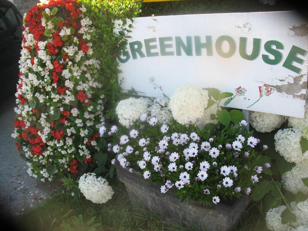 B&B Greenhouse 37 Langemark Exteriör bild